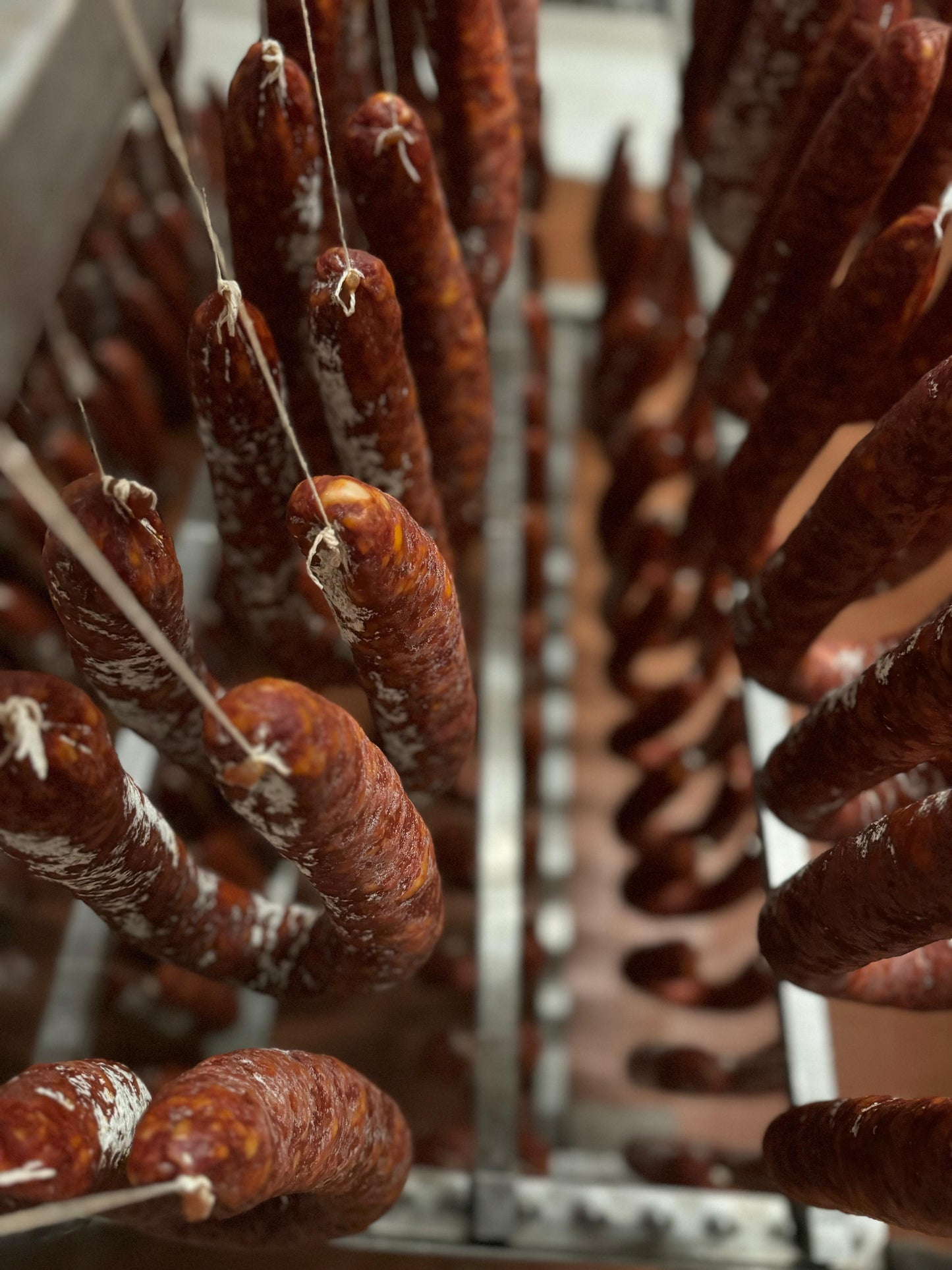 Salsiccia piccante premiata Gambero Rosso