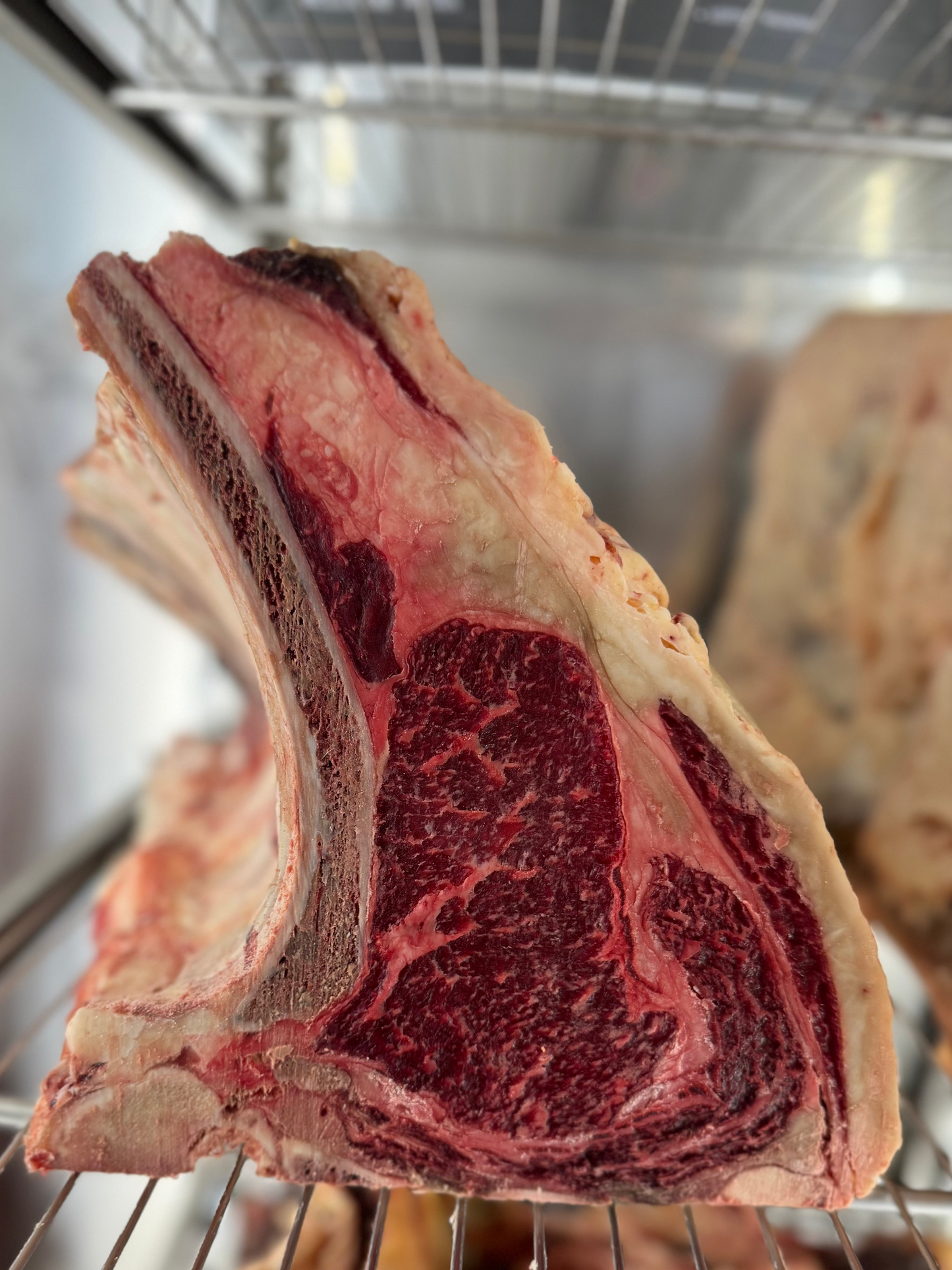 Costata Frisona Gamba Selection