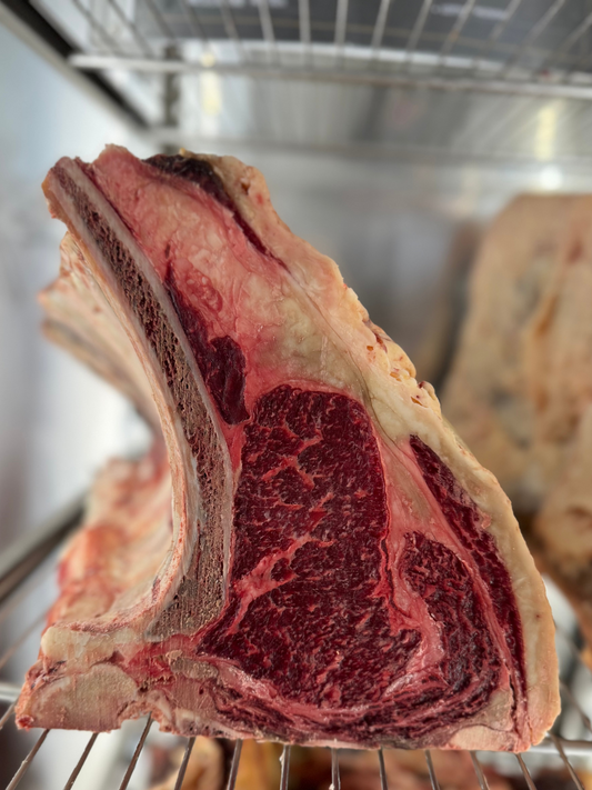 Costata Frisona Gamba Selection